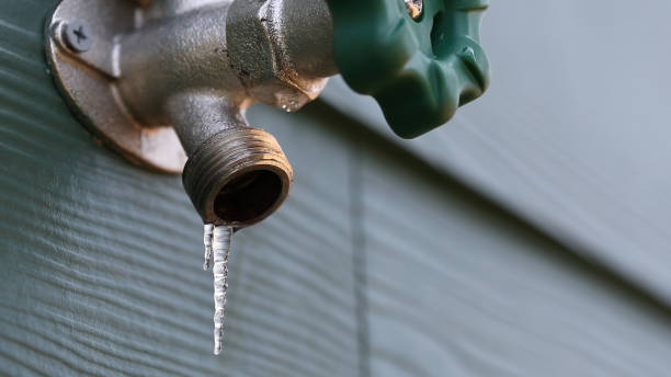 Shower Repair Services in Frankfort, MI