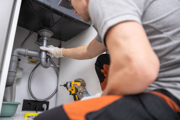 Best Local Plumber Services  in Frankfort, MI